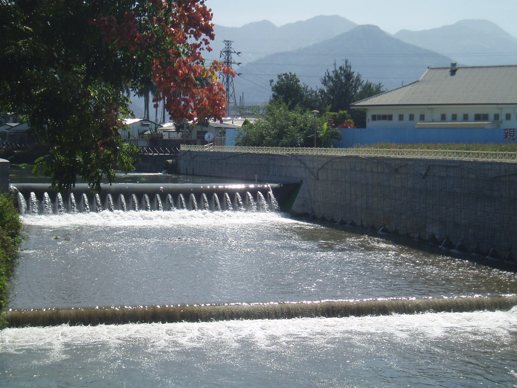 水利工程、水工機械規劃設計、監造、專案管理、技師簽證